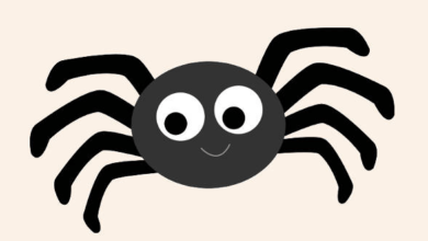 clipart:4zey3mcy6zw= spider