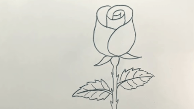 Simple:0ogcwv0bb_O= Drawing Rose