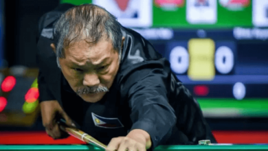 What Is Efren Reyes Net Worth